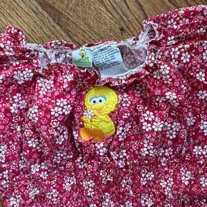Y2K vintage Sesame Street big bird red floral peasant top 24 months